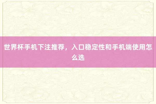 世界杯手机下注推荐，入口稳定性和手机端使用怎么选
